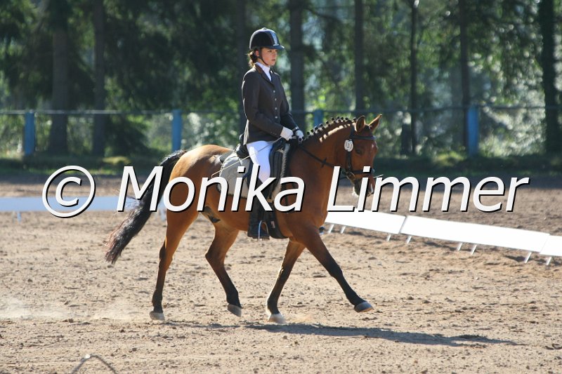 203M6309_Good lucky boy_Dressur_A.JPG